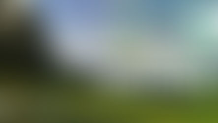 7/6~本社展示会のお知らせ(卸業者様向け)