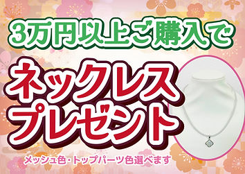 3万円ご購入でネックレスプレゼント.jpg