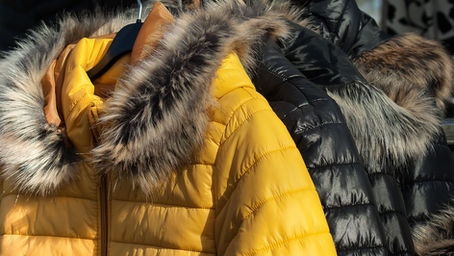 「ダウン」と「フェザー」の種類