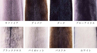 ミンク 見本 TSA LTHTh 90mm ICR+