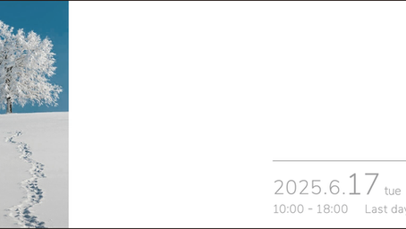 6/17〜東京展示会のお知らせ(卸業者様向け)
