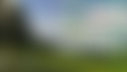 7/13~大阪展示会のお知らせ(卸業者様向け)