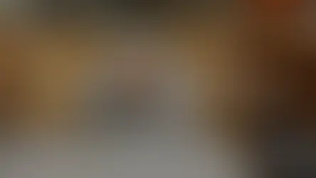 APPI renforce sa capacité de pliage avec une nouvelle presse plieuse ERMAKSAN