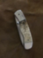 Teddy Button Lock Folder