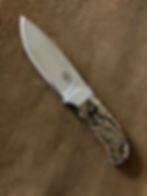 "Teddy II" Fixed Blade