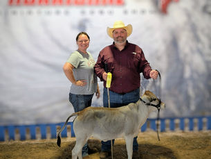 a man in a cowboy hat holding a Zebu heifer and a woman standing in front of a photo backdrop.