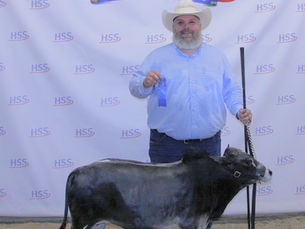 Decoding the Breed Standard: Navigating IMZA vs. AMZA in the Show Ring