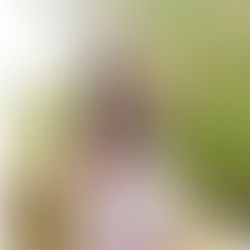 Intro: Teacher Uyen Bui