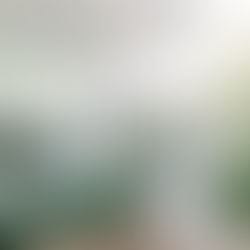 Designer Crush: Sarah Sherman Samuel