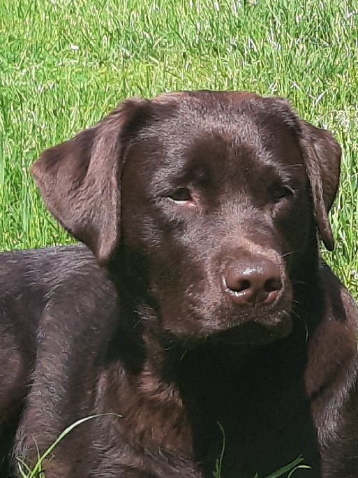 Anouk