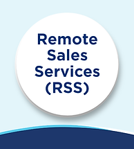 Remote Sales Services