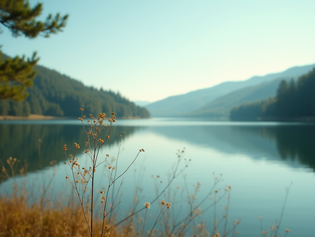 Descubra Como a Psicologia Pode Te Ajudar
