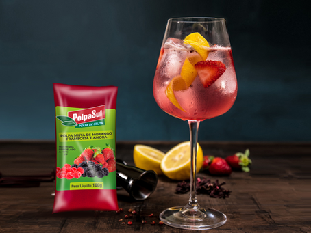 DRINK COM POLPASUL DE FRUTAS VERMELHAS E GIN