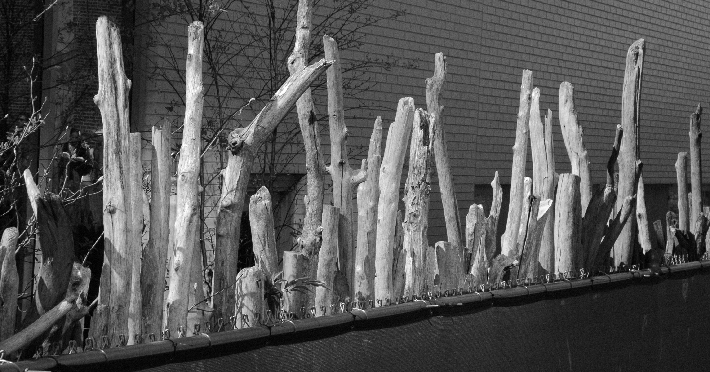 Sticks