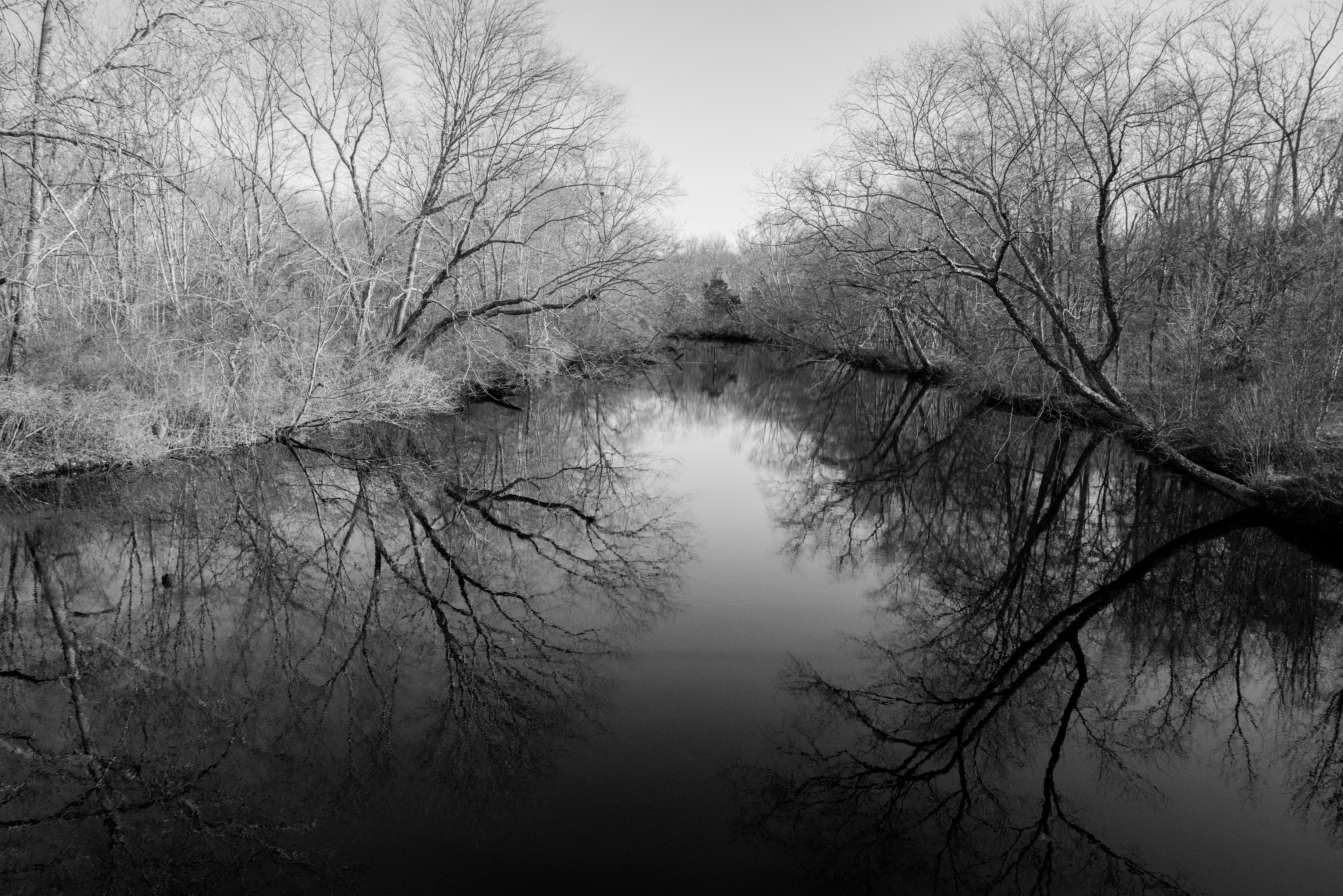Rancocas Reflection