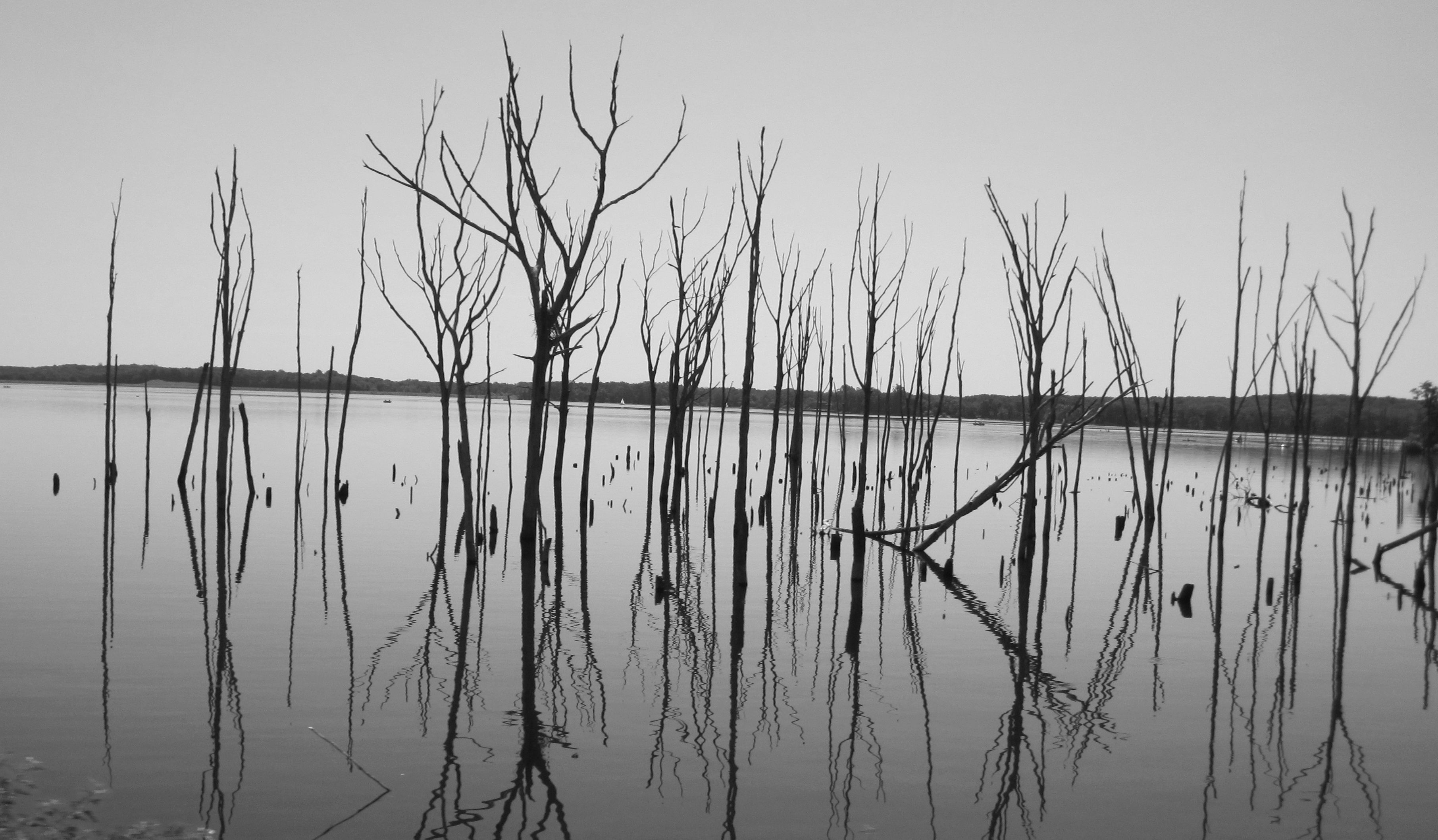 Reflection