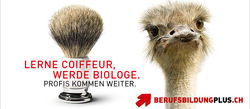 Sujet Kampagne berufsbildungplus.ch