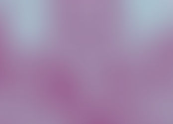 Walz Family Endorse Trump