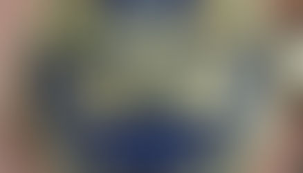 Walz Distributed Coins With Fake Rank