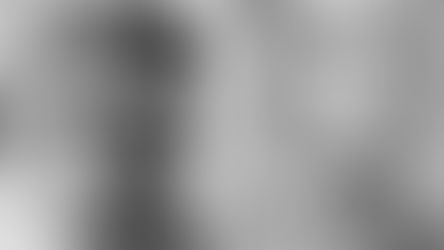 Maryland Woman Murdered by Illegal