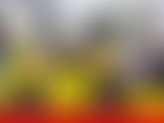 Encontro de grupos de Folia de Reis em Pouso Alegre busca manter viva tradição