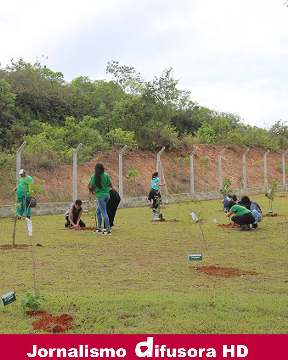 Bosque do Amanhã: Programa do Governo de Minas mobiliza crianças no plantio de mais de 12 mil mudas em 2025