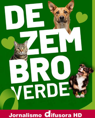 Dezembro Verde: Campanha alerta para maus tratos e abandono animal