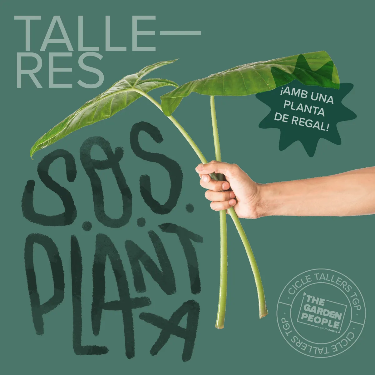 TALLER S.O.S PLANTAS