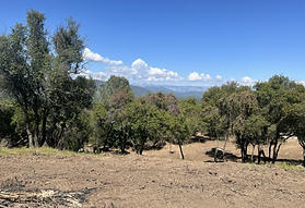 2.4AC Quartz Mt Rd, Coarsegold, CA 93614