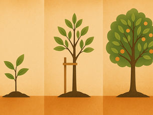 Knowledge Management "Project"