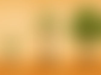 Knowledge Management "Project"