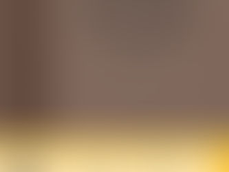 The Effective Executive in Action - Book Review