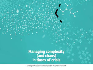 Managing Complexity in Times of Crisis - סיכום ספר