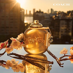 COACH GOLD צילום יחצ.jpg