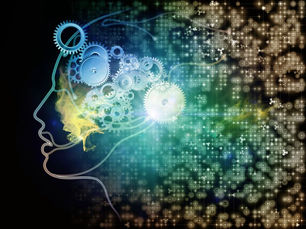 Beyond Digital Transformation: The Role of Knowledge and Collaboration in Organizational Growth