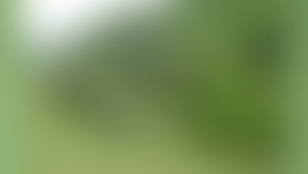 The Course of Knowledge - סיכום ספר