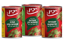 יכין. צילום יחצ.jpg
