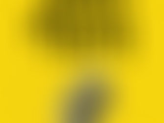 Management Resilience: Thriving in the Face of Challenges - Book Review