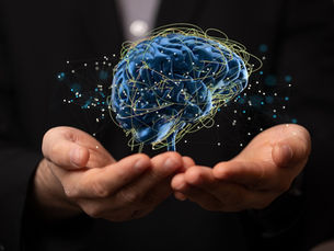 Seven Knowledge Management Rules by Dave Snowden