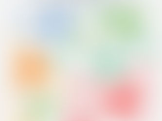 The Partners in the Mapping Process 