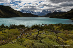 PNTorresDelPaine4