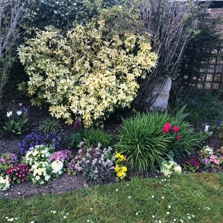 image1 (1).jpeg