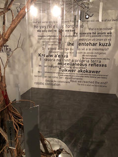 IMG-20230317-WA0059.jpg