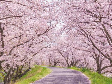 4月10日 ファンより 悩み解消