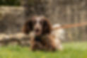Originale_221106_Avenches_Fototrail_Frank_03.jpg