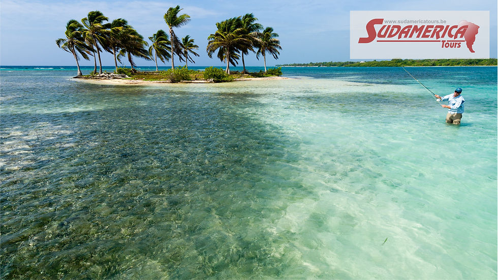 Caraïbes