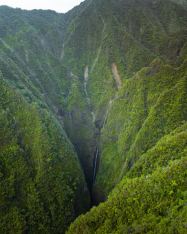 The Agency Collective offers Heli-Proposal & Heli-Elopement Services on Oahu.