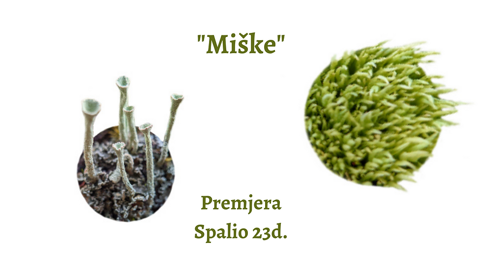 Premjera (3).png