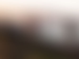 What Do “Foot Shaped” Sneakers Actually Mean?