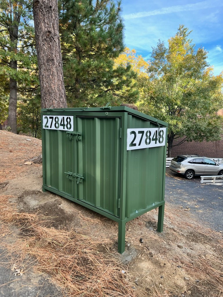 66246